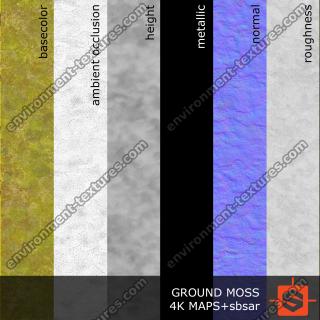 PBR moss texture DOWNLOAD